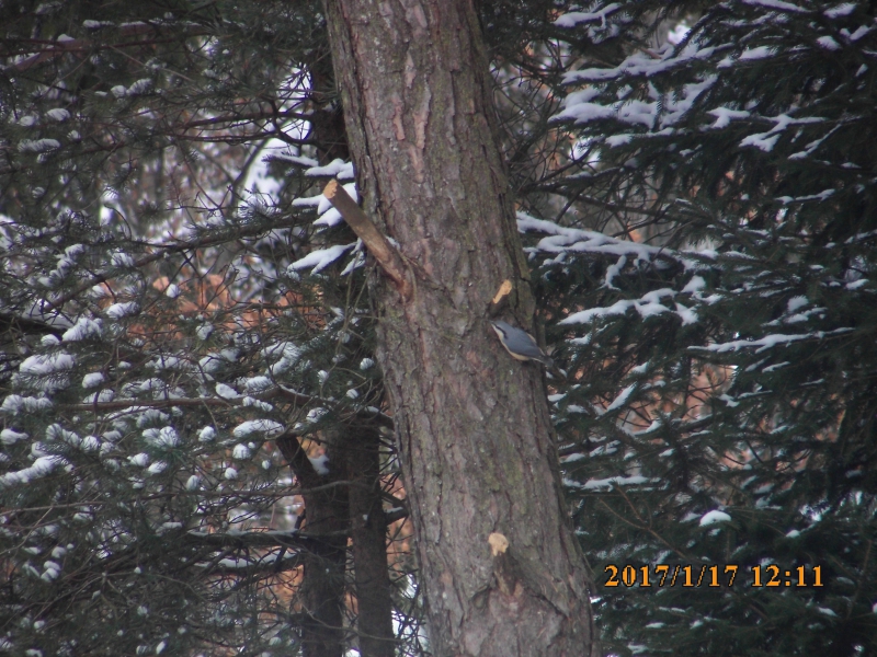 PICT0354.JPG