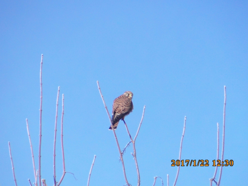 PICT0378.JPG