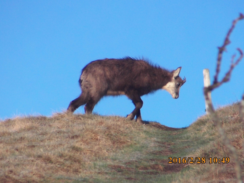 PICT0468.JPG