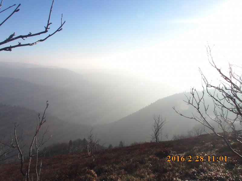 PICT0475.JPG