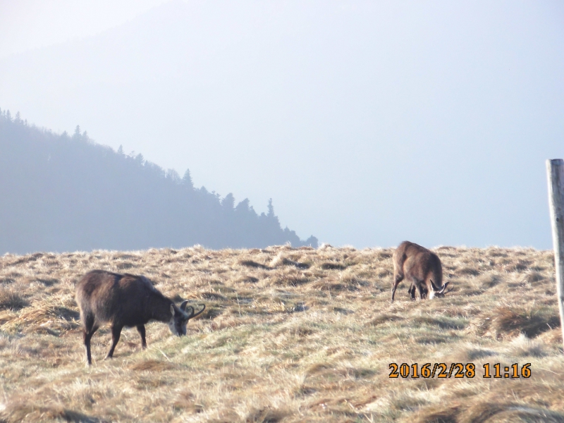 PICT0494.JPG