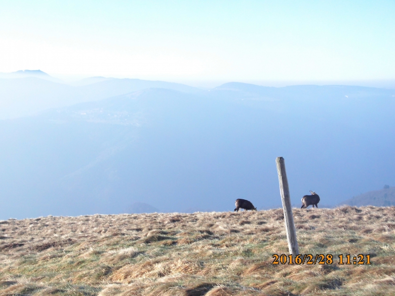 PICT0504.JPG