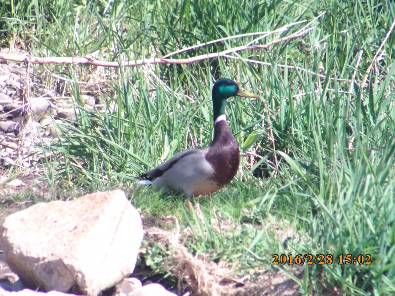 PICT0554.JPG