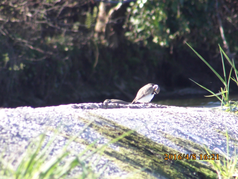 PICT0584.JPG
