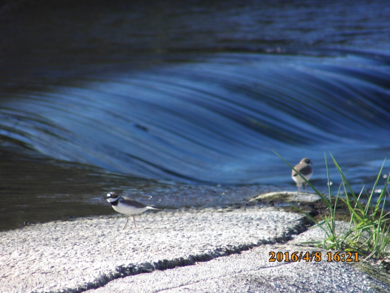 PICT0585.JPG