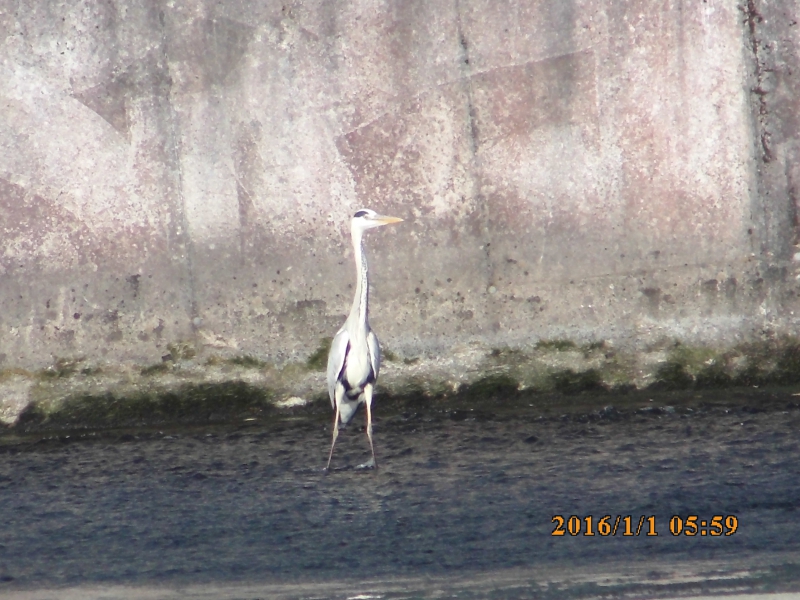 PICT0732.JPG