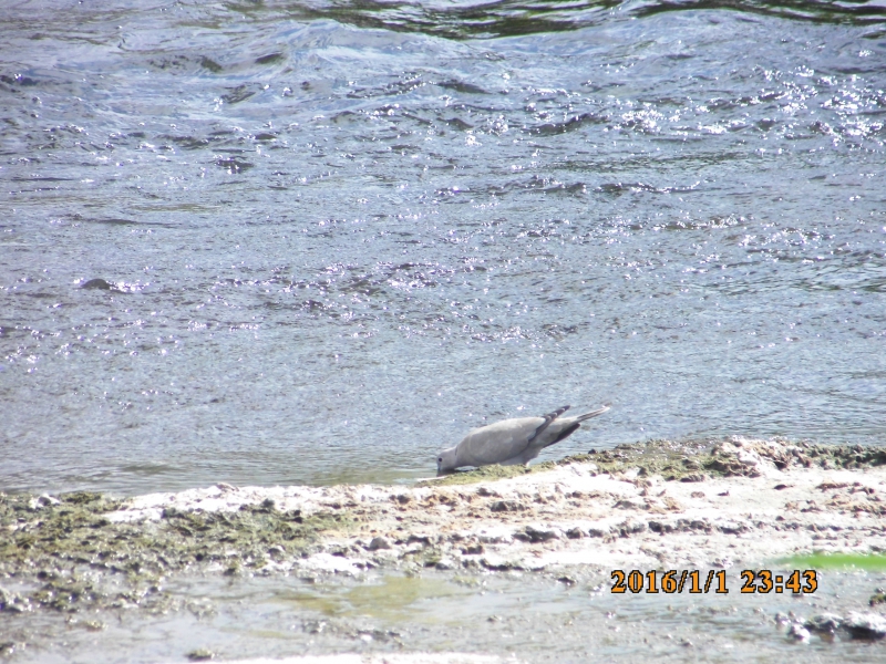 PICT0776.JPG
