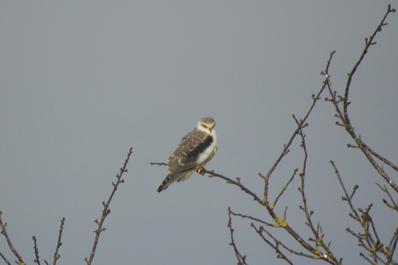 DSCN7171.JPG
