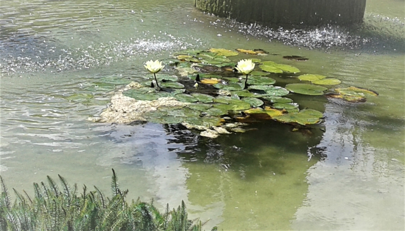 Photo Paysages naturels
