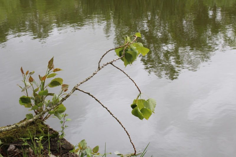 Photo Paysages naturels