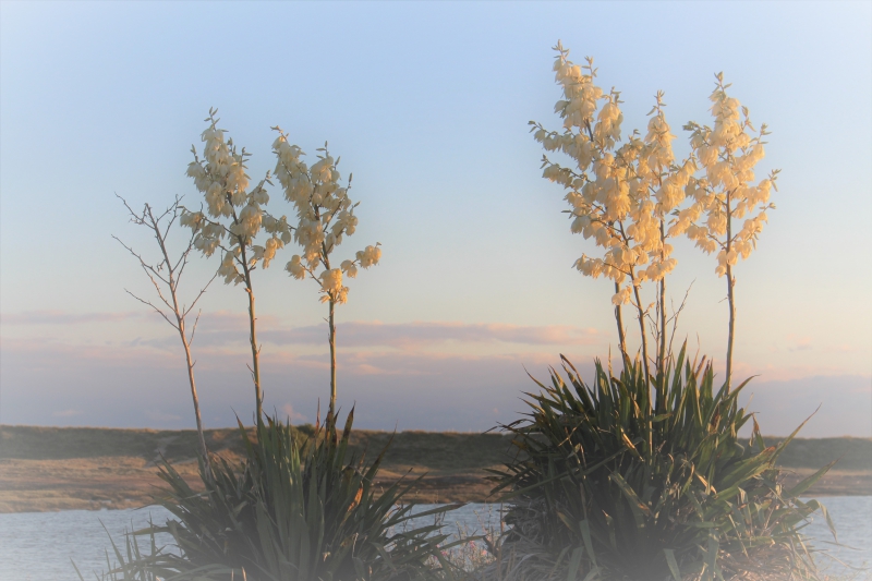 Photo Paysages naturels