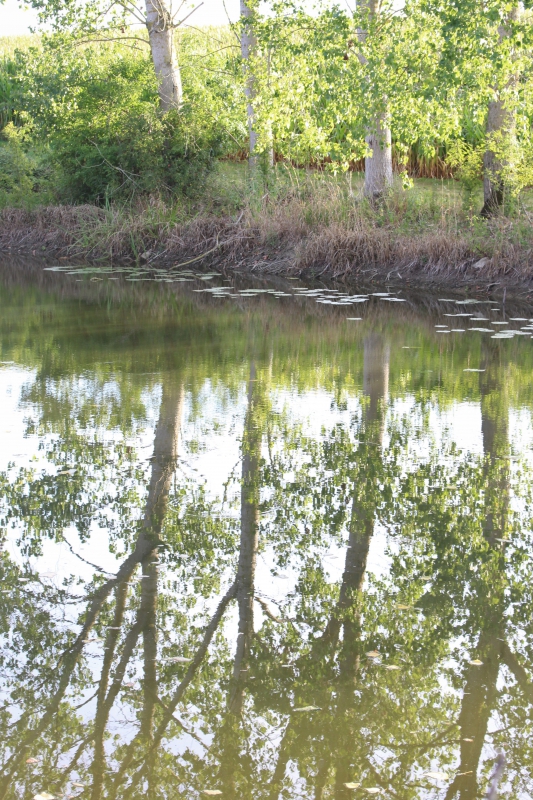Photo Paysages naturels