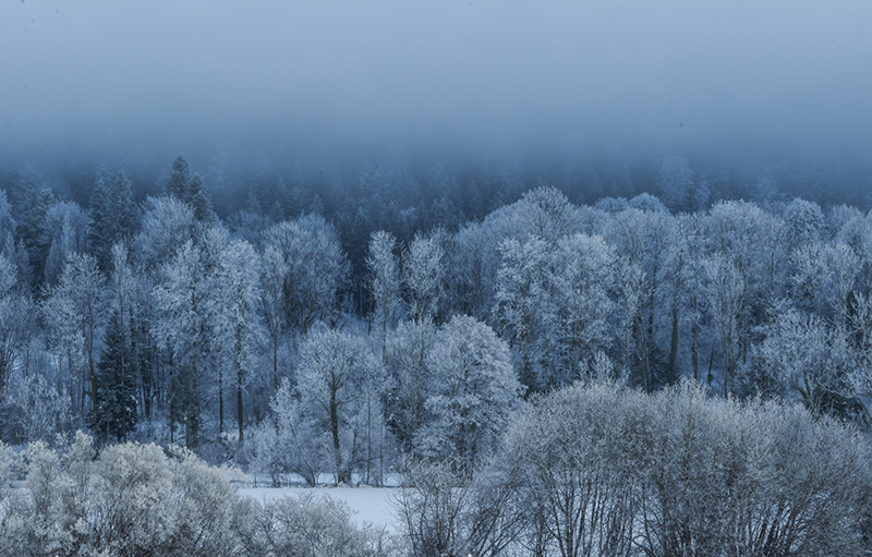 Photo Paysages naturels