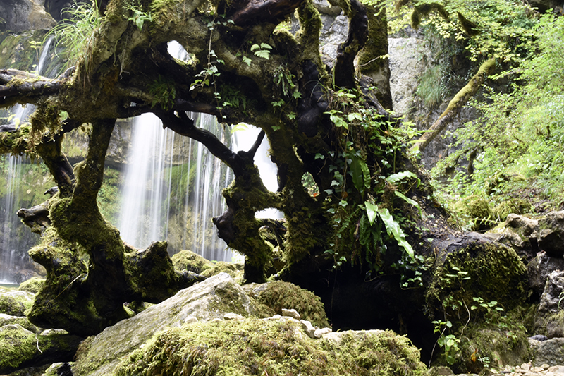 Photo Paysages naturels