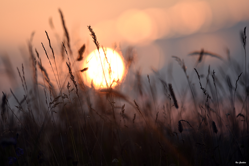 Photo Paysages naturels