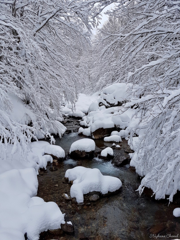 Photo Paysages naturels