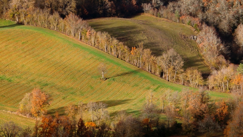 Photo Paysages naturels