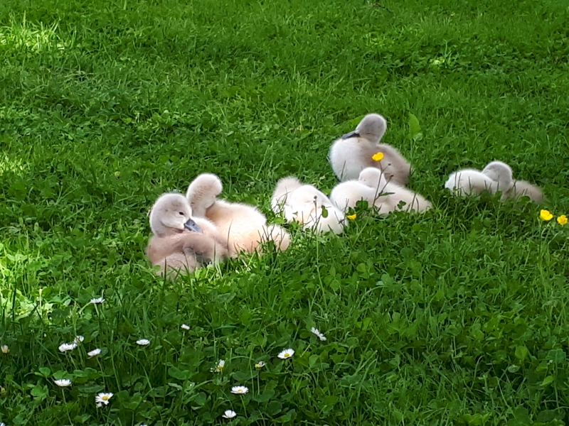 20170520_130237.jpg