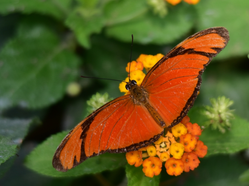 DSC_8878_re.jpg