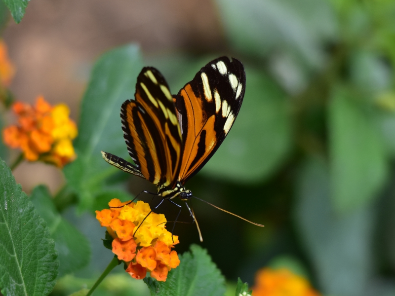 DSC_8972_re.jpg