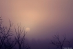 Paysages naturels