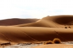 Paysages naturels