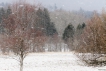Paysages naturels