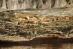 Paysages naturels