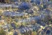 Paysages naturels