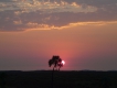 Paysages naturels