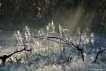 Paysages naturels