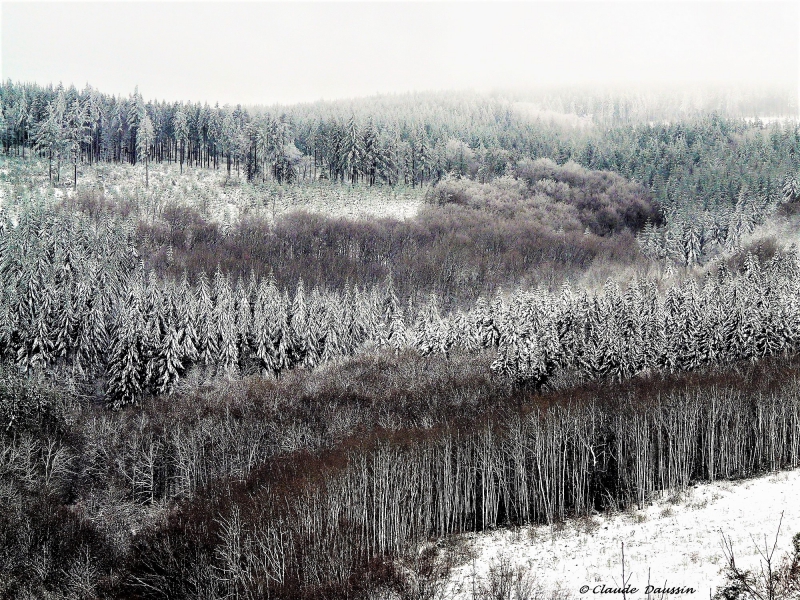 Photo Paysages naturels