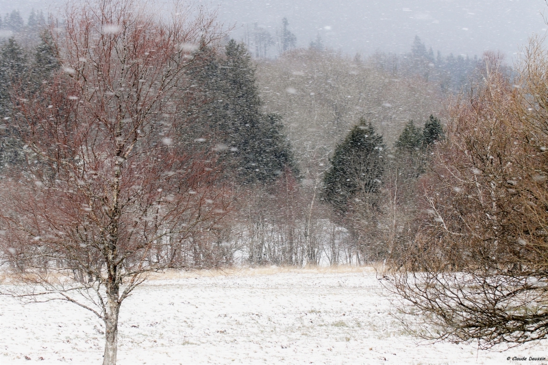 Photo Paysages naturels
