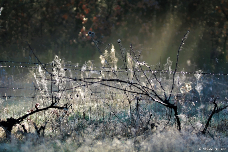 Photo Paysages naturels