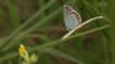 Photo nature
