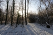 Paysages naturels