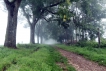 Paysages naturels