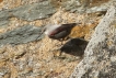 Photo nature