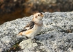 Photo nature