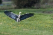 Photo nature