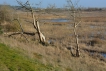 Paysages naturels