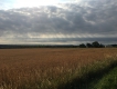 Paysages naturels