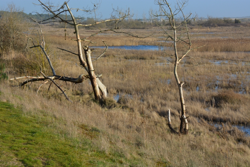 Photo Paysages naturels