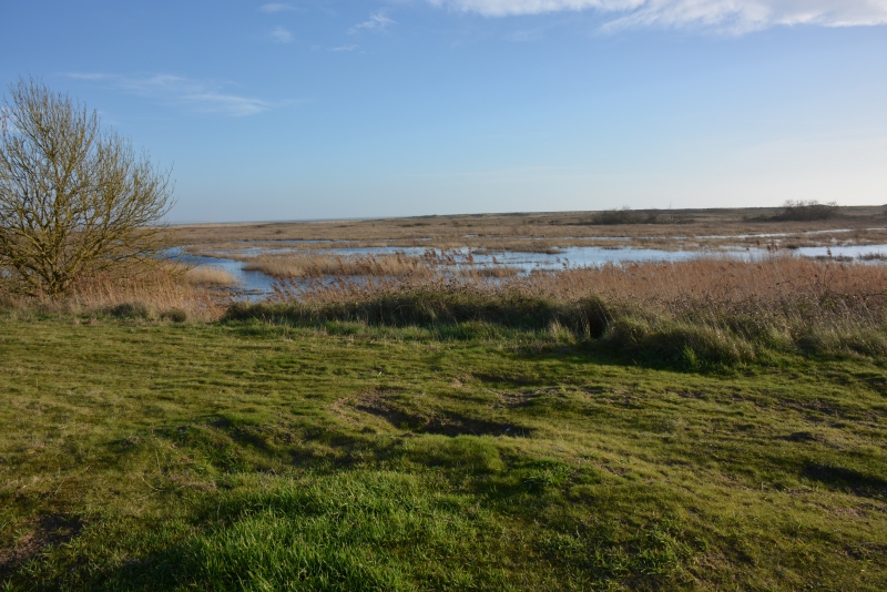 Photo Paysages naturels