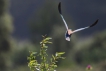 Photo nature