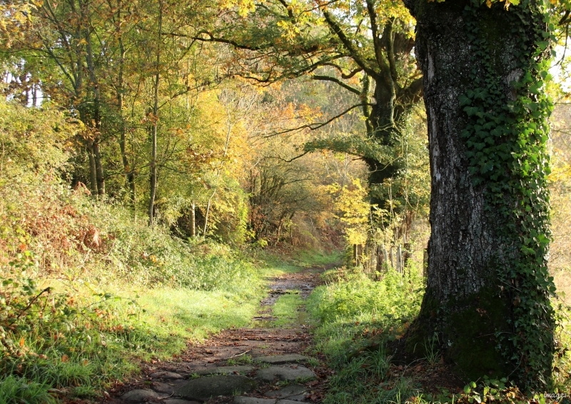 Photo Paysages naturels