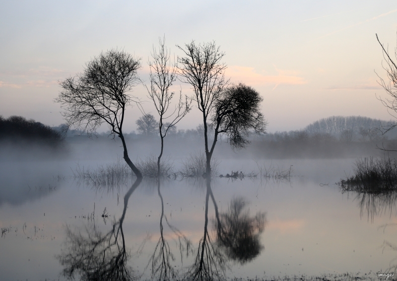 Photo Paysages naturels