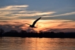 Paysages naturels