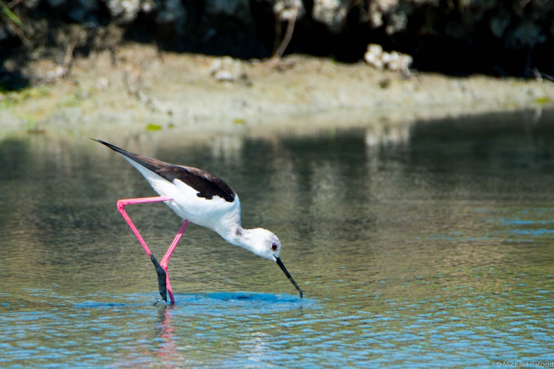 DSC_0400.jpg