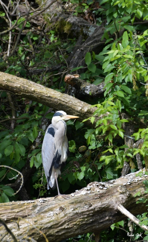 DSC_5400.jpg